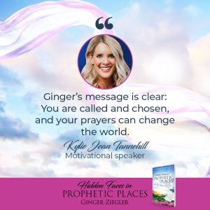Hidden Faces in Prophetic Places endorsement_Tannehill